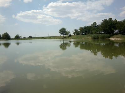 Прикрепленное изображение: Фото0026_001.jpg